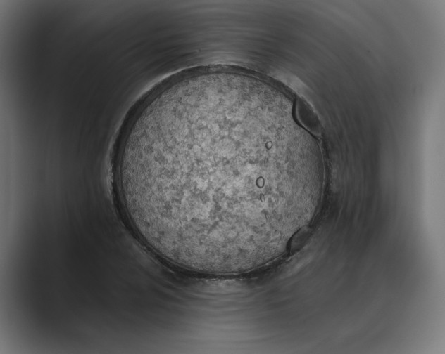 X0000089391024200706291331