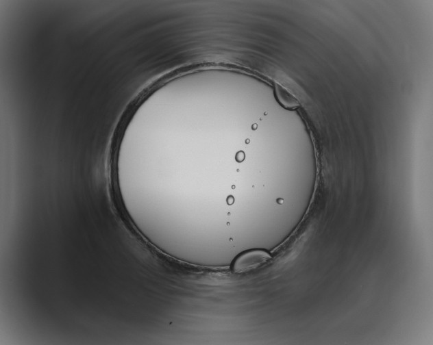 X0000089391028200706291331