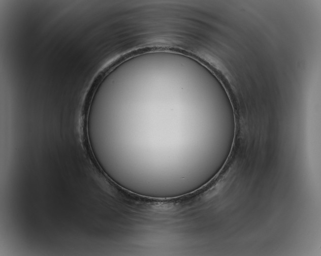 X0000089391029200706291331