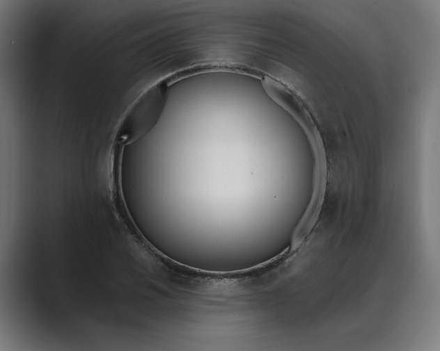X0000089391030200706291331