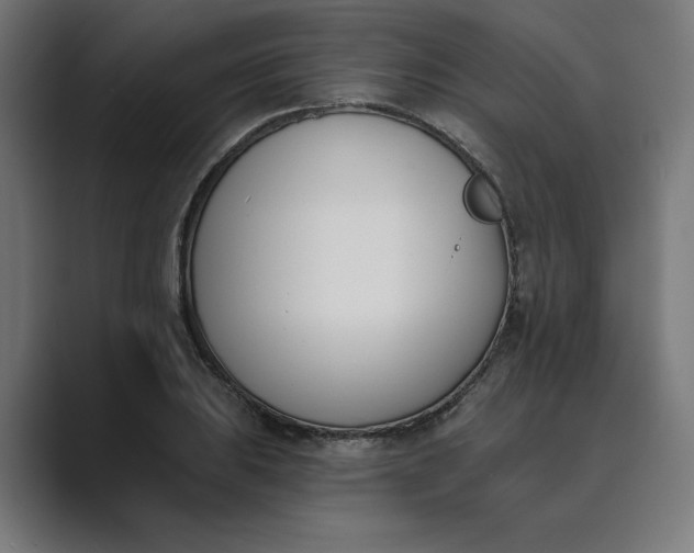 X0000089391031200706291331
