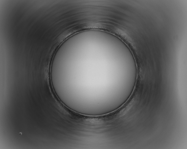 X0000089391033200706291331