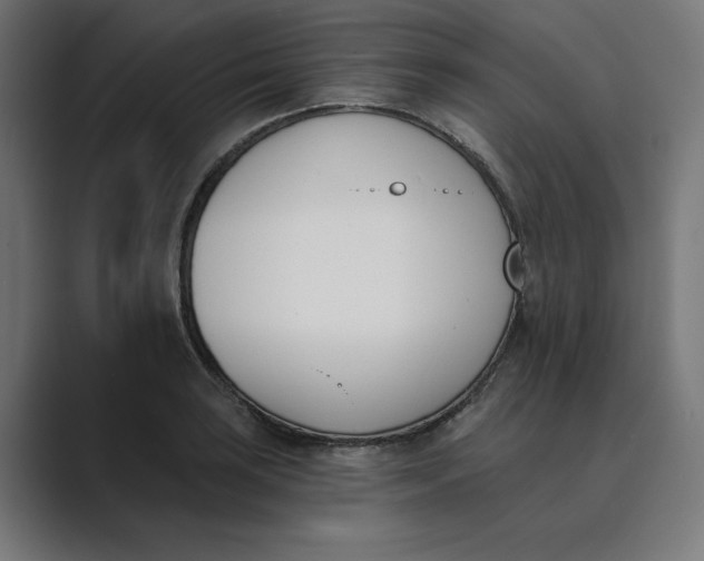 X0000089391035200706291331