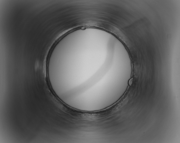 X0000089391036200706291331