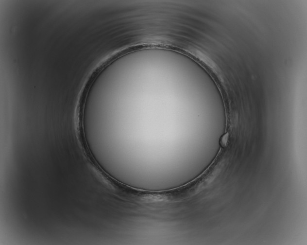 X0000089391037200706291331
