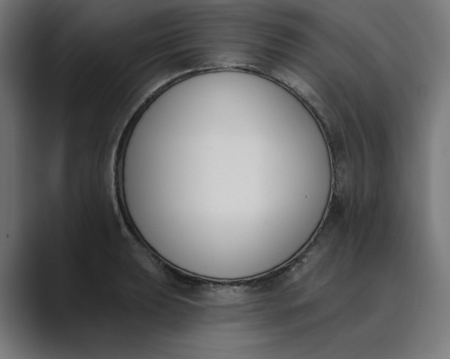 X0000089391039200706291331