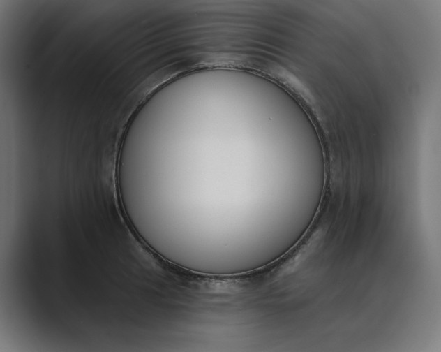 X0000089391041200706291331