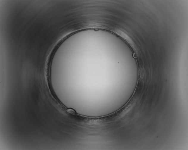 X0000089391043200706291331