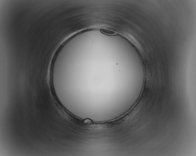 X0000089391044200706291331