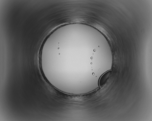 X0000089391047200706291331