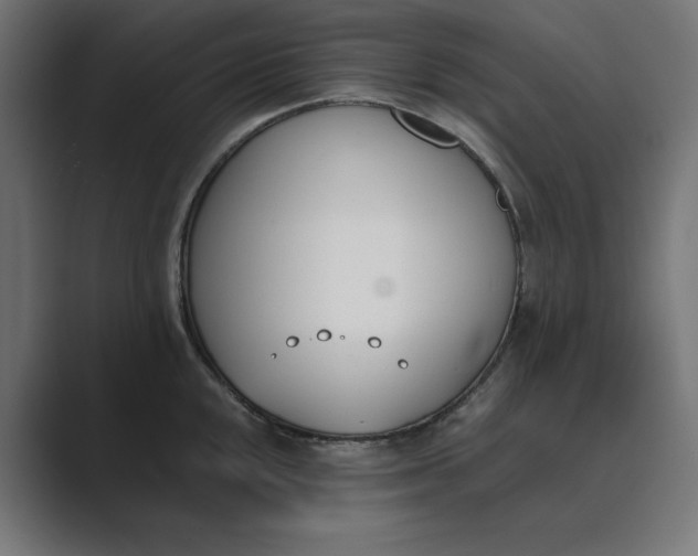 X0000089391048200706291331