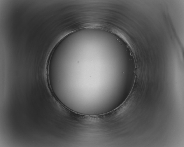 X0000089391050200706291331