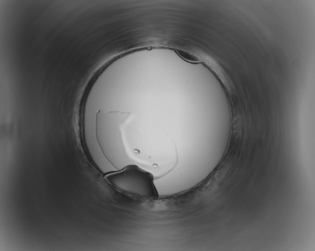 X0000089391051200706291331