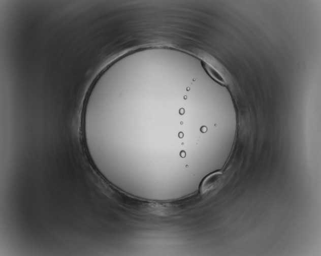 X0000089391052200706291331