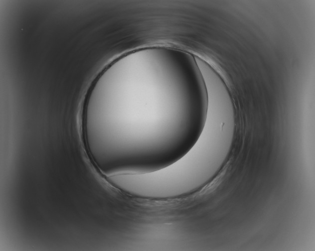 X0000089391054200706291331