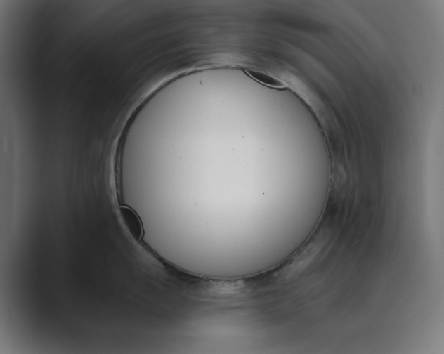 X0000089391055200706291331