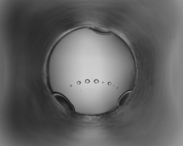 X0000089391056200706291331