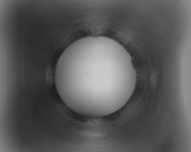 X0000089391058200706291330