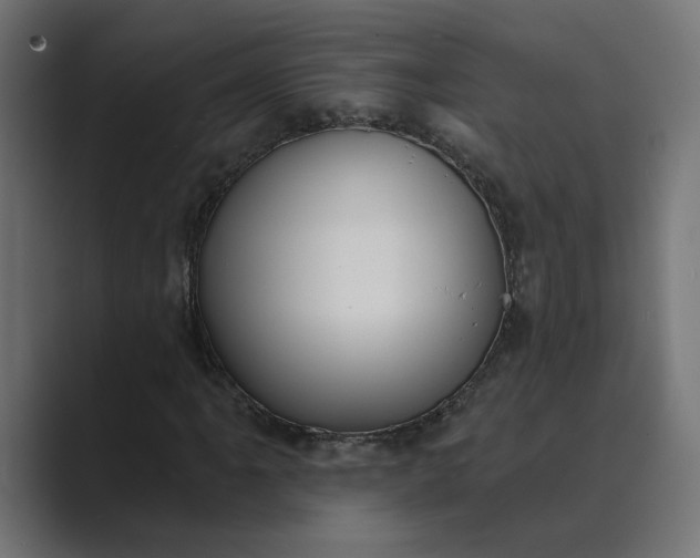 X0000089391061200706291330