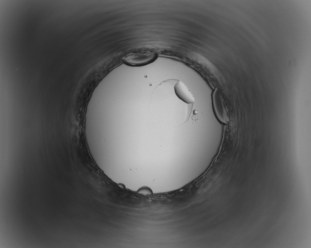 X0000089391064200706291330