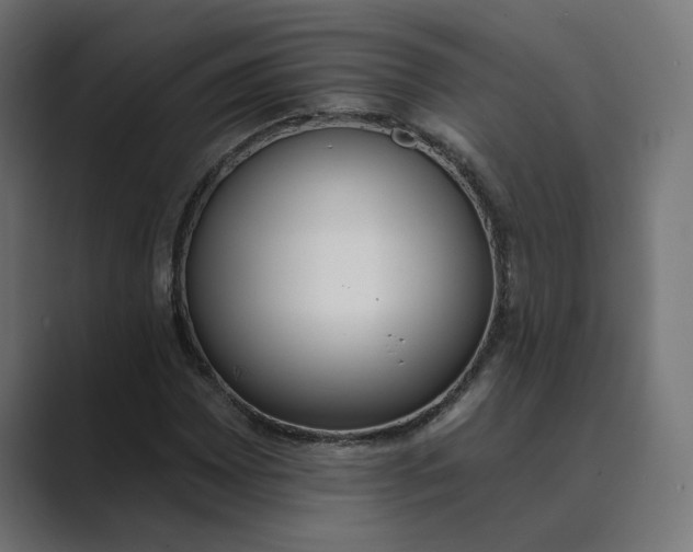 X0000089391065200706291330