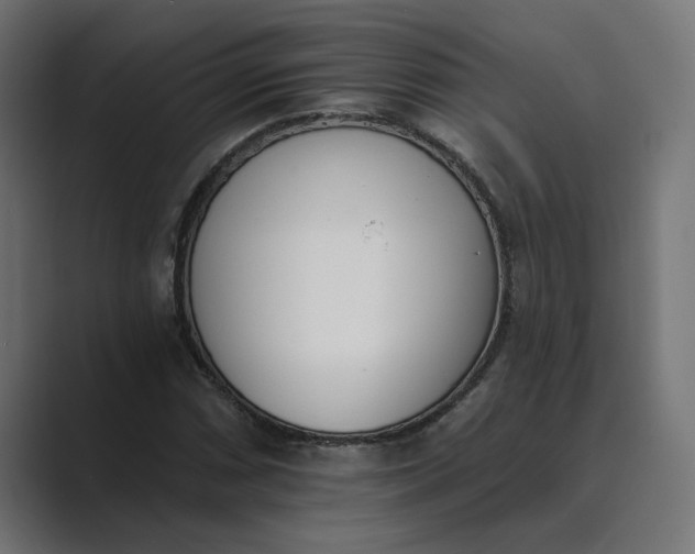 X0000089391066200706291330