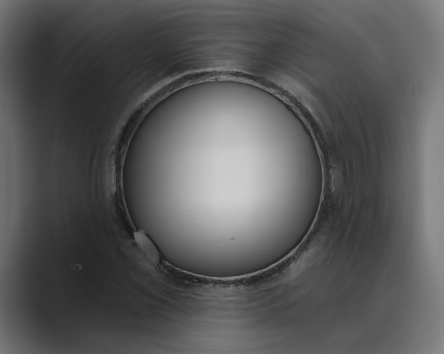 X0000089391069200706291330