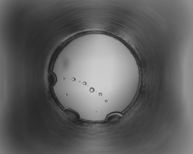 X0000089391072200706291330
