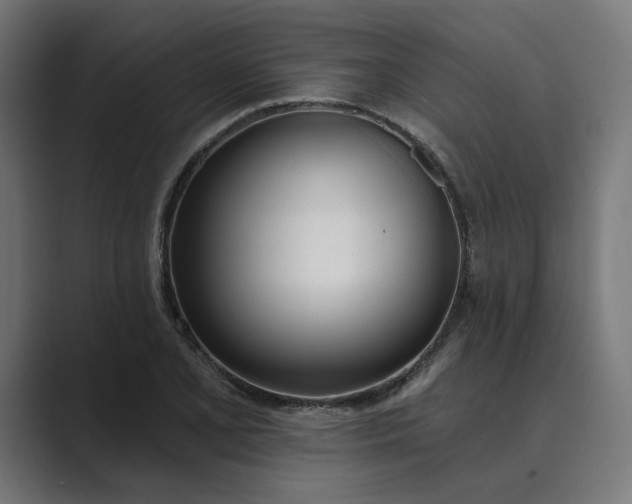 X0000089391077200706291330