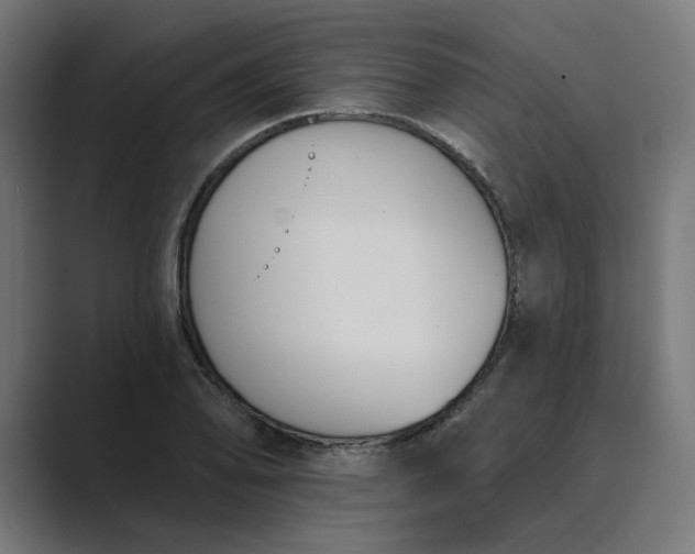 X0000089391078200706291330