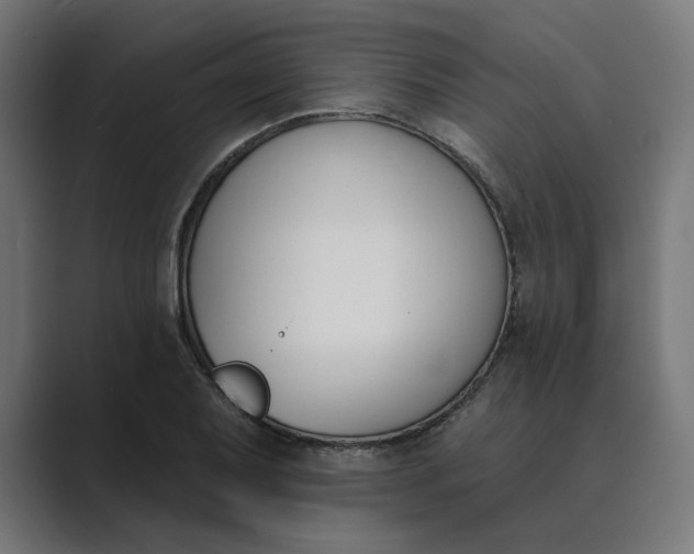 X0000089391079200706291330