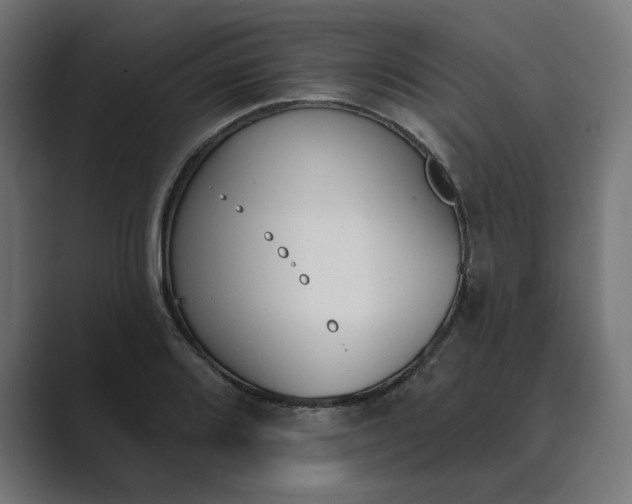X0000089391080200706291330