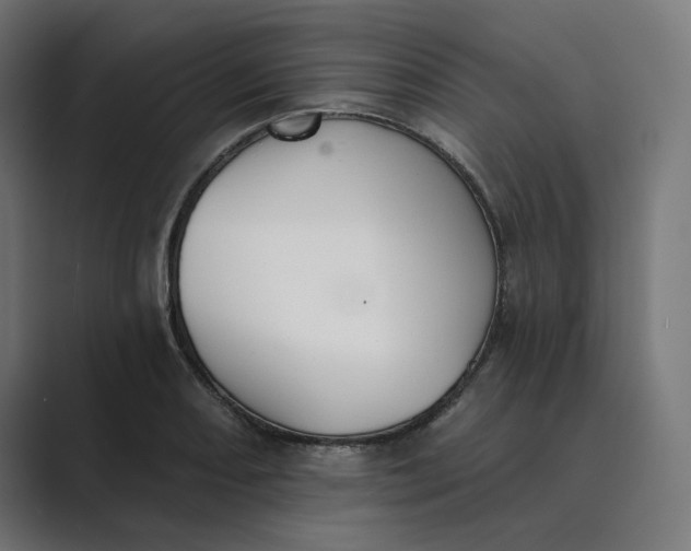 X0000089391082200706291330