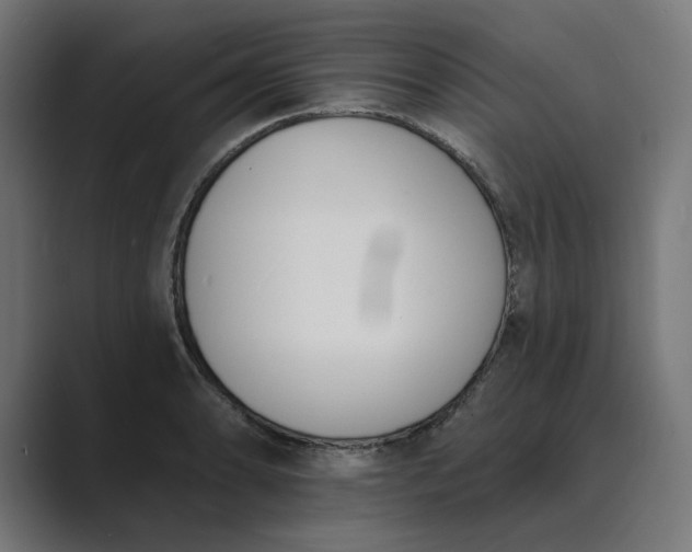 X0000089391086200706291330