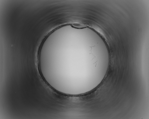 X0000089391088200706291330