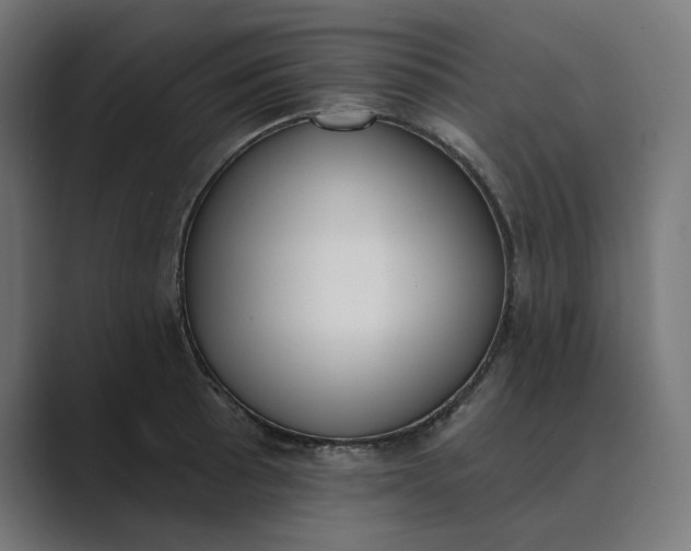 X0000089391089200706291330