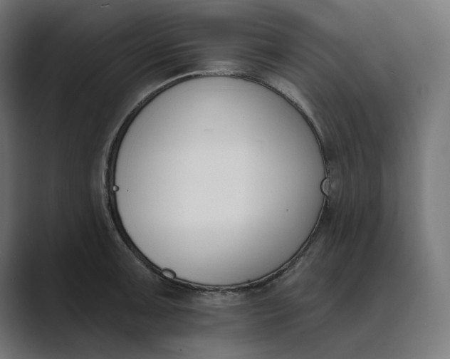 X0000089391091200706291330