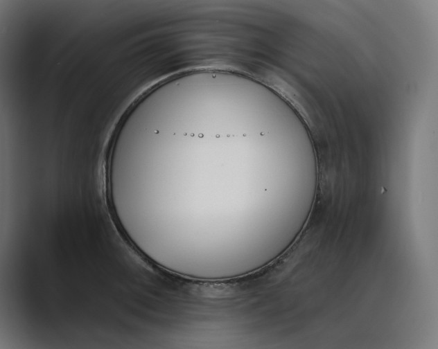 X0000089391092200706291330