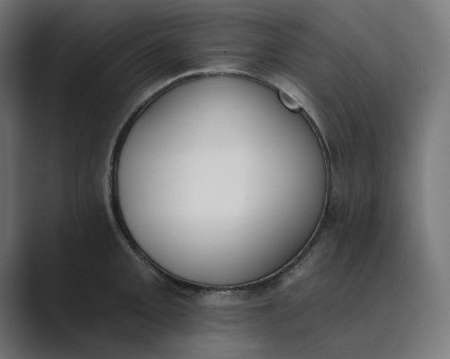 X0000089391093200706291330