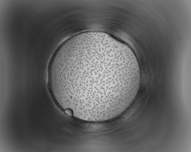 X0000089391095200706291330