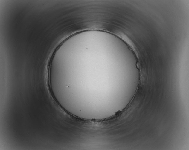 X0000089391096200706291330