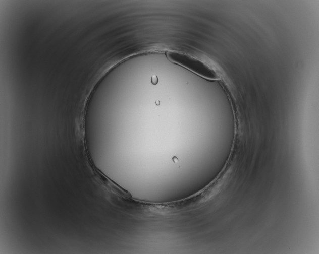 X0000089391097200706291330