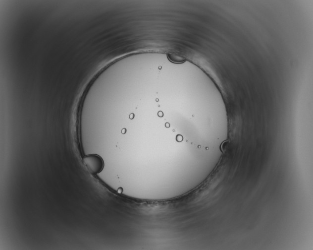 X0000089391099200706291330