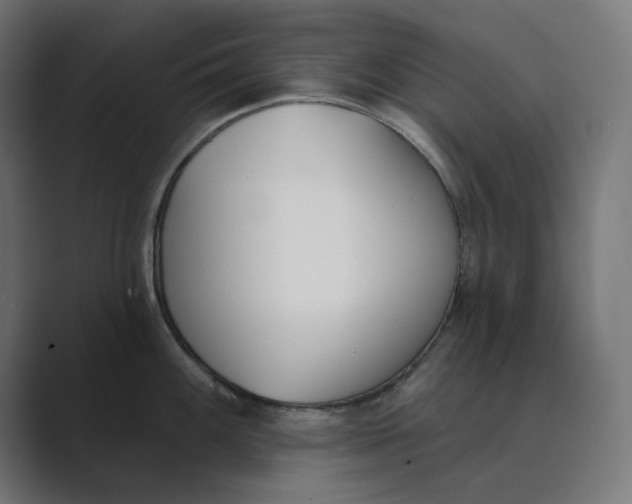 X0000089391100200706291330