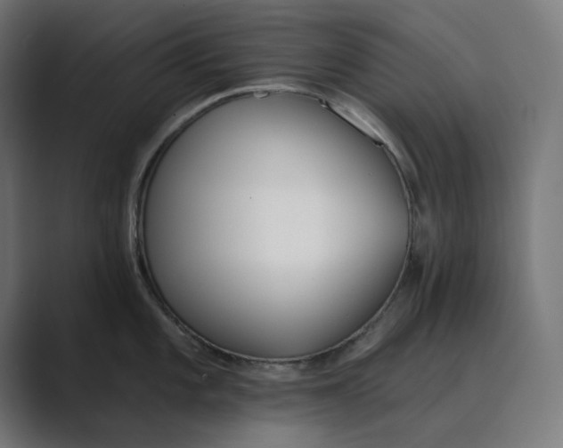 X0000089391101200706291330
