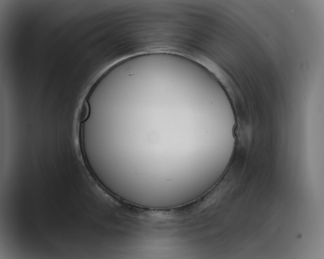 X0000089391102200706291330