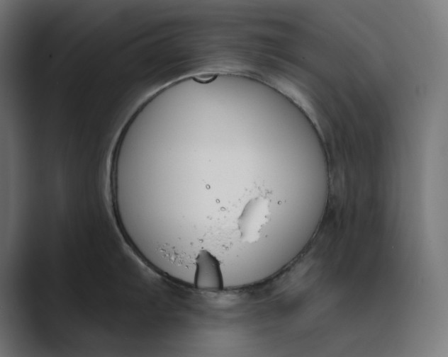 X0000089391103200706291330