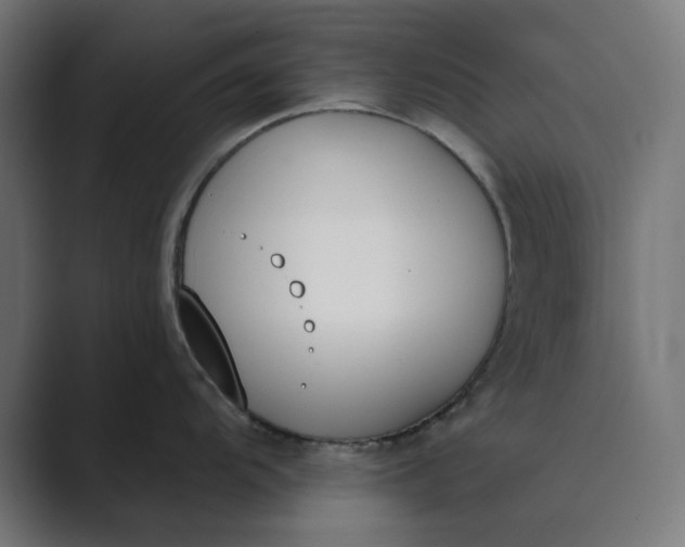 X0000089391104200706291330