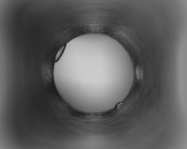 X0000089391107200706291329