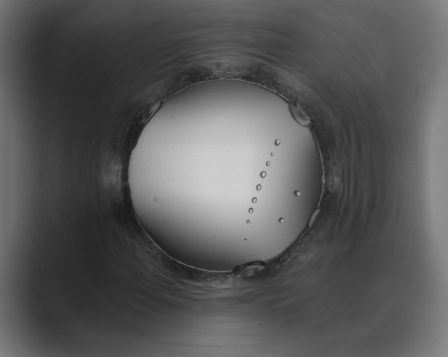 X0000089391108200706291329